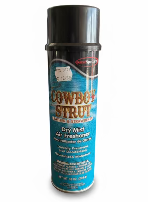 Dry Mist Air Freshener