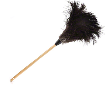 Feather Dust Wands